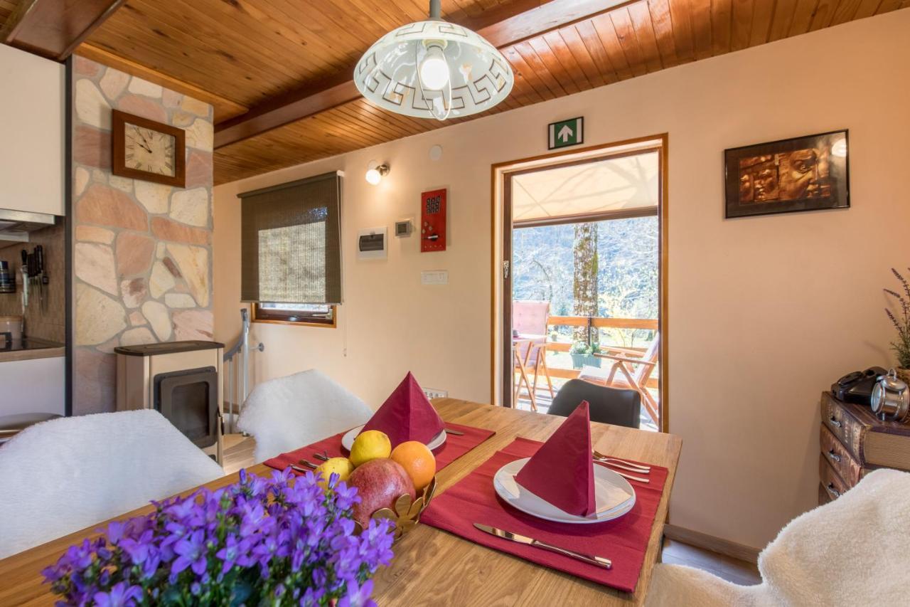 Vila Rozi, Osilnica - Vacation House Pr' Vili Rozi Экстерьер фото