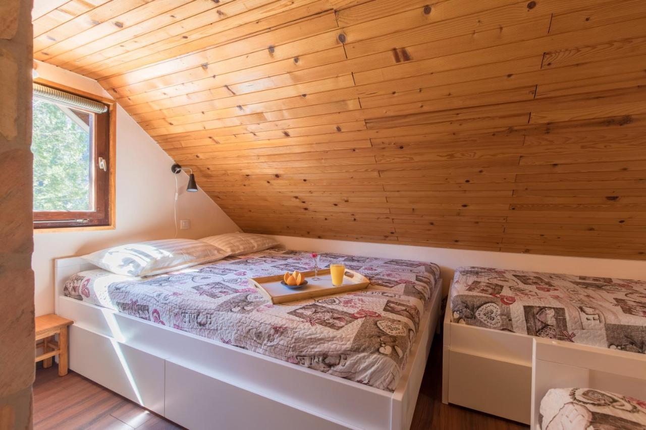 Vila Rozi, Osilnica - Vacation House Pr' Vili Rozi Экстерьер фото