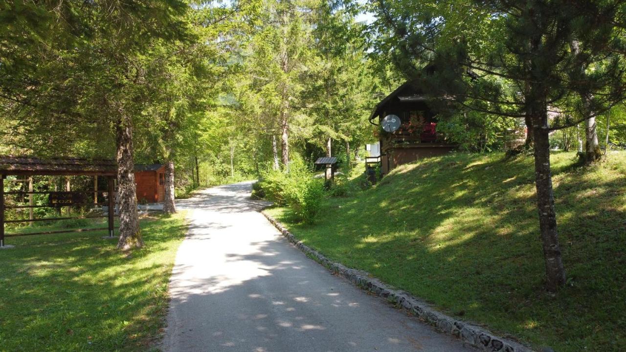 Vila Rozi, Osilnica - Vacation House Pr' Vili Rozi Экстерьер фото