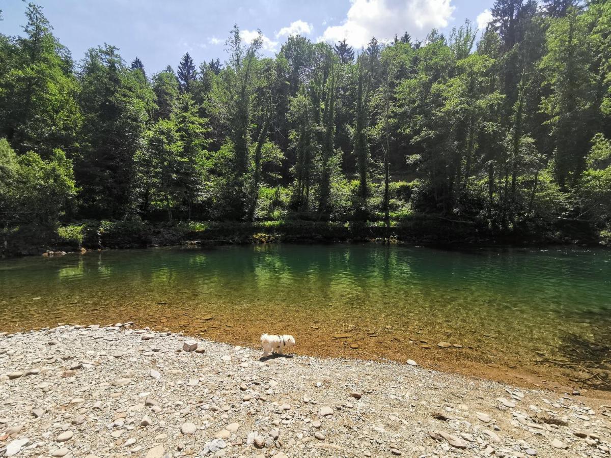 Vila Rozi, Osilnica - Vacation House Pr' Vili Rozi Экстерьер фото